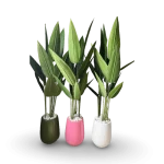 Flower And Pots