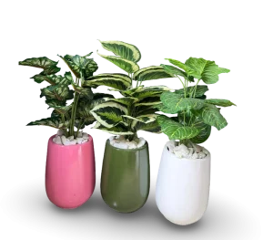3feet Flower & Pot