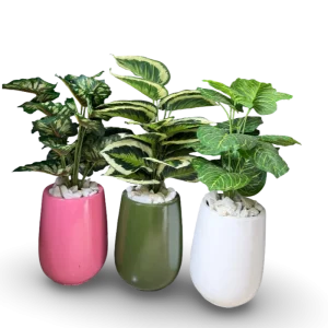 3feet Flower & Pot
